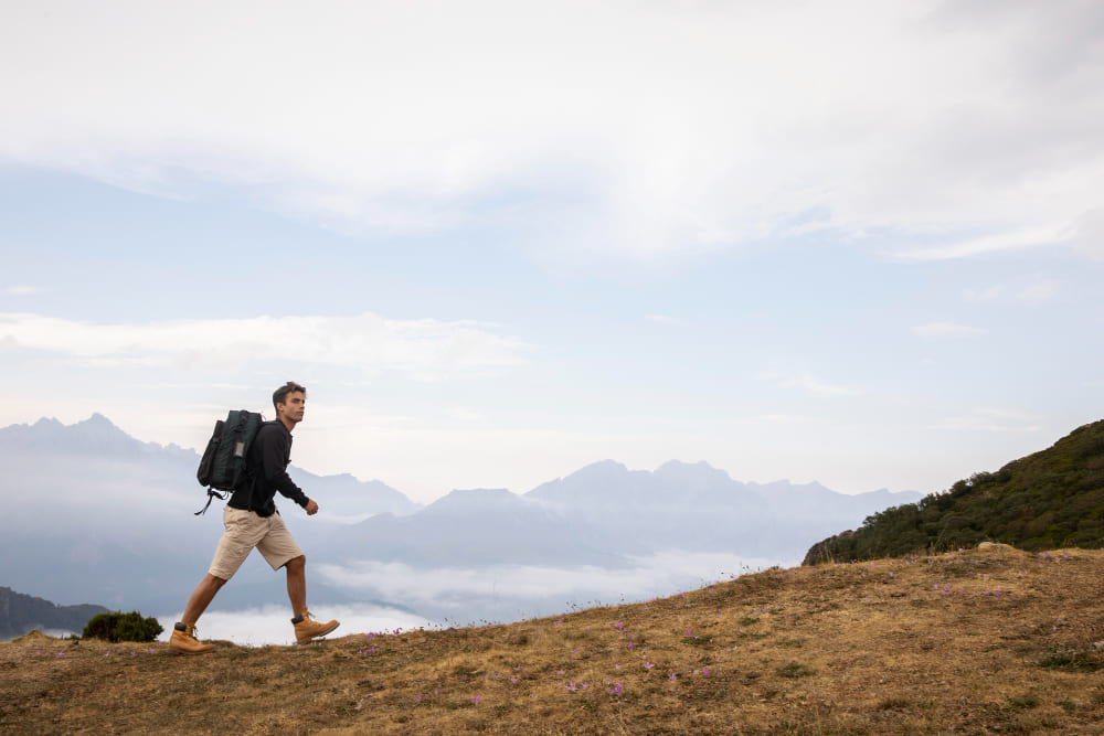 Jalur Pendakian Gunung Lawu