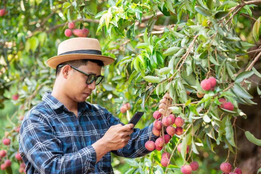 Agrowisata di Karanganyar